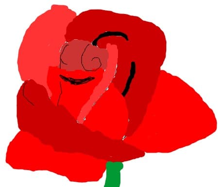 rosa