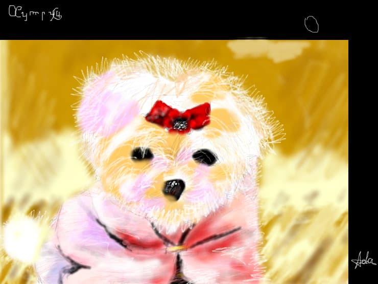cutzu