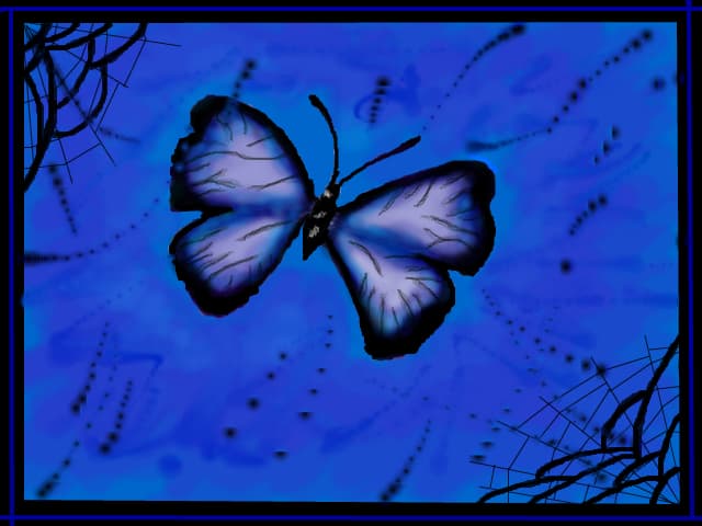 Butterfly