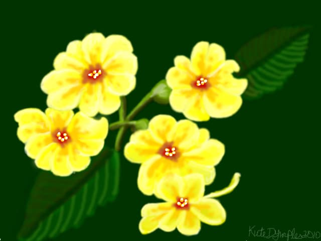 Yellow Flowers