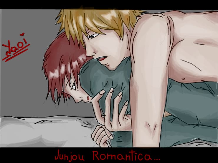 Junjou romantica .....neterminat