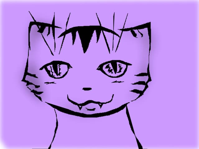 kitty