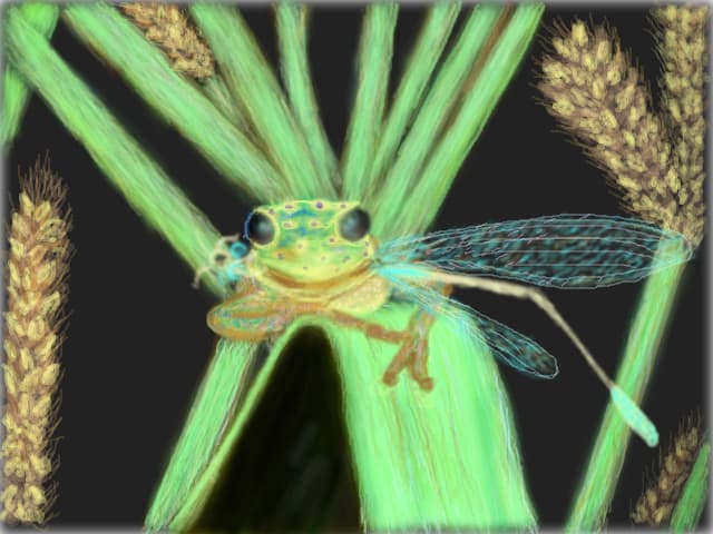 In papusoi