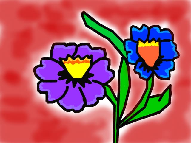 flori