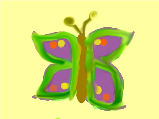 a butterfly