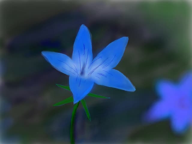 floare albastra