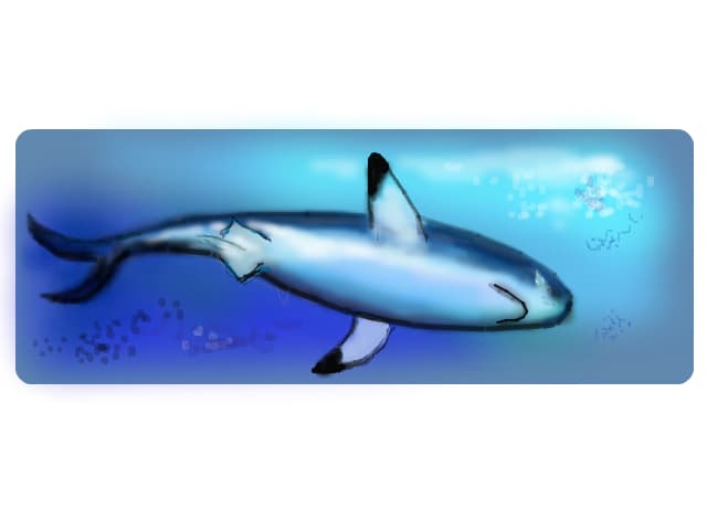 dive