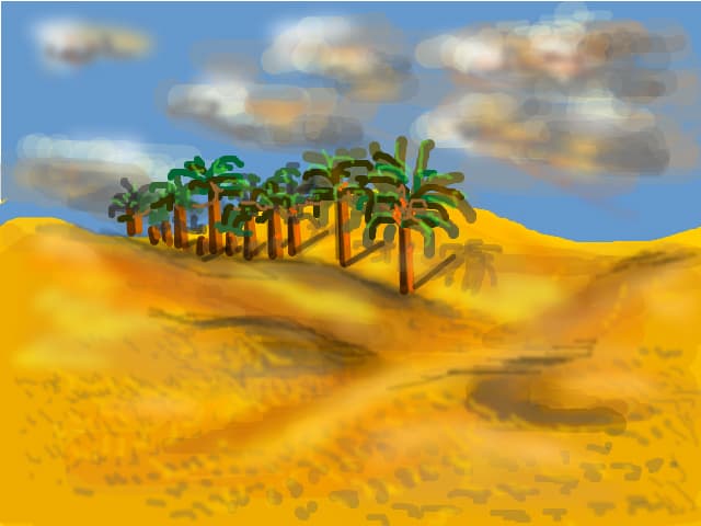 oasis