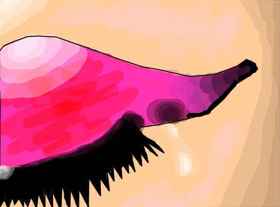 Pink makeup