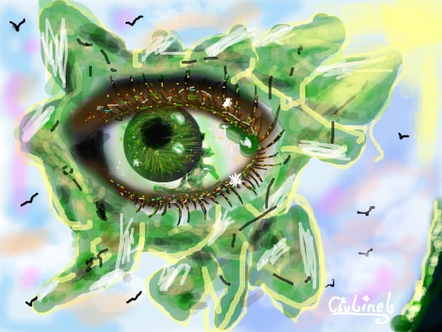 Eye