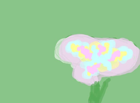 iris