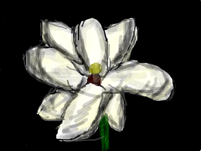 O floare.....!!!