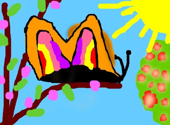butterflay