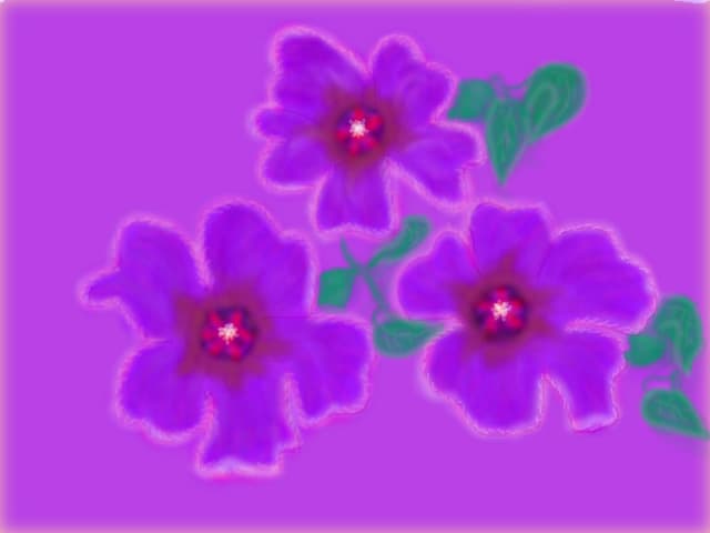 Violet