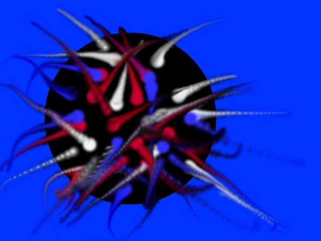 SPIRITE IN GAURA NEAGRA