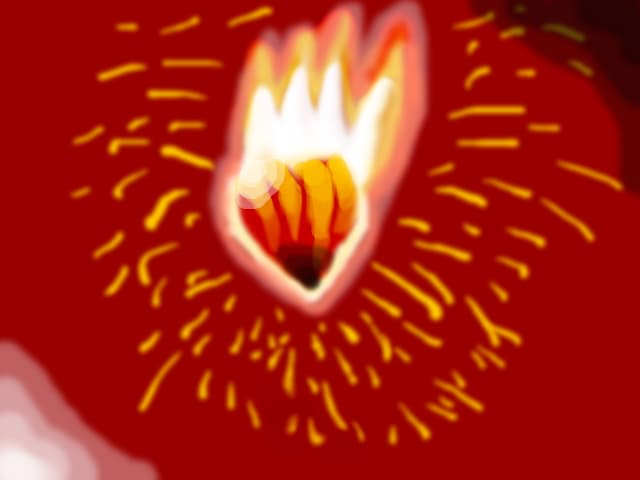 Burning heart
