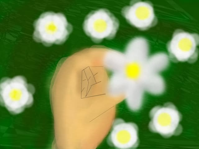 Floricele de/pe campii