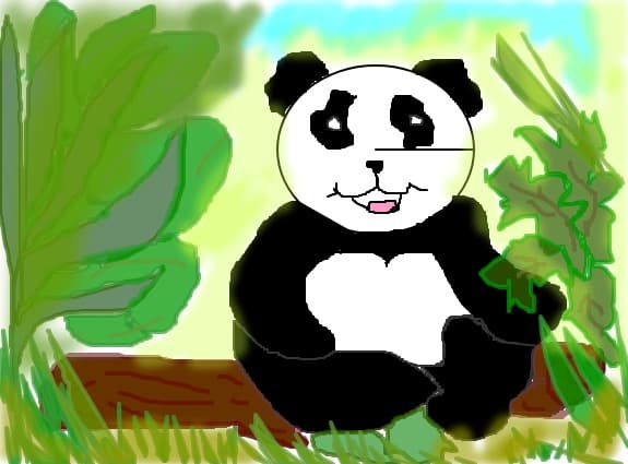 Panda