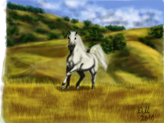 on the hills...
