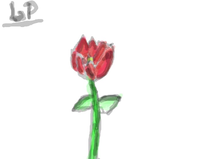 floare lp