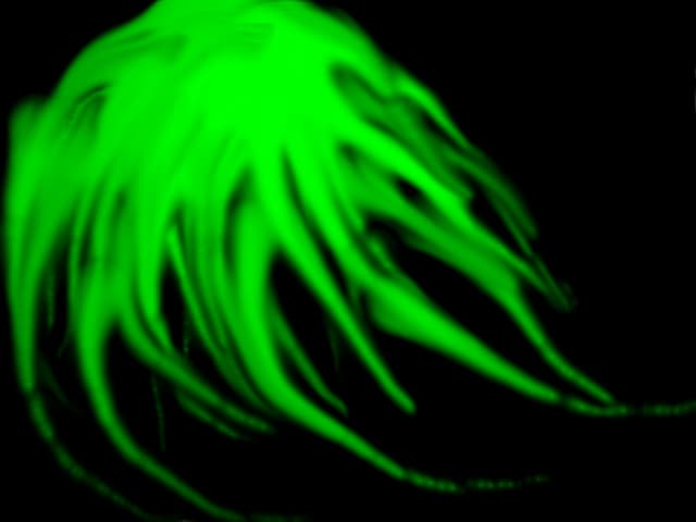 Minge de ....minge verde