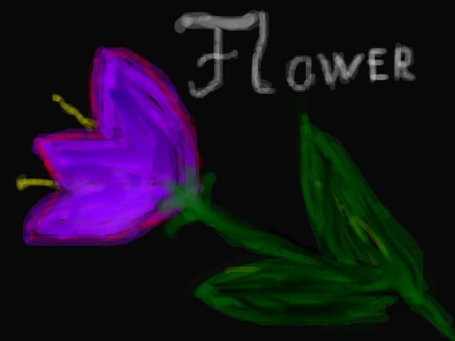 flower