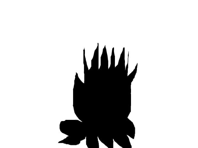 ne prosim pana la 20 desene.apoi nu mai facem asta