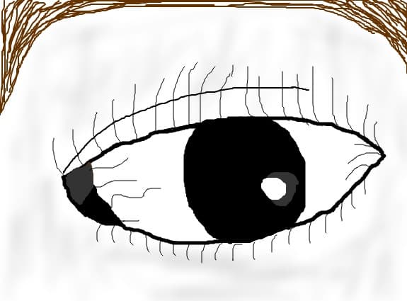 Ochi