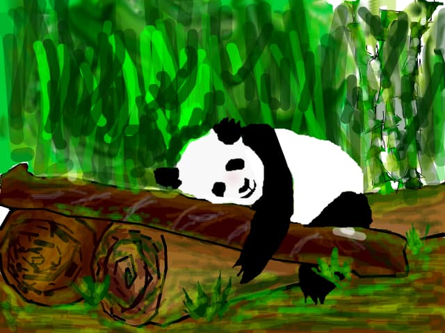 Bamboo Forest