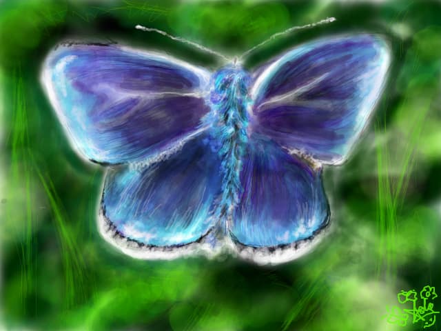 blue butterfly..mdeah:))[[modificat,srry de resave:(]][[app:MARE:D]]