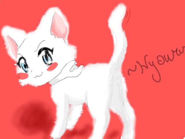 kitty