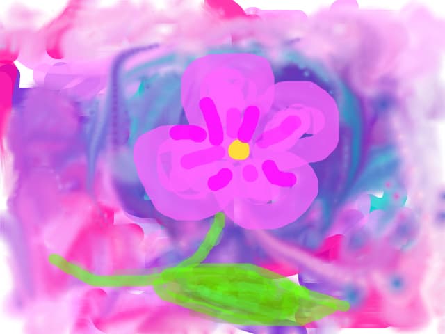 floarea frumusetii