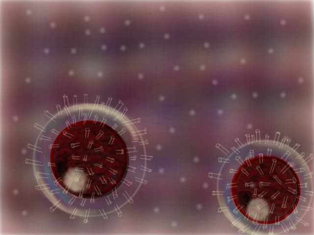 Virus