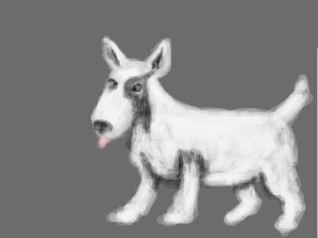 bull terrierKHJ