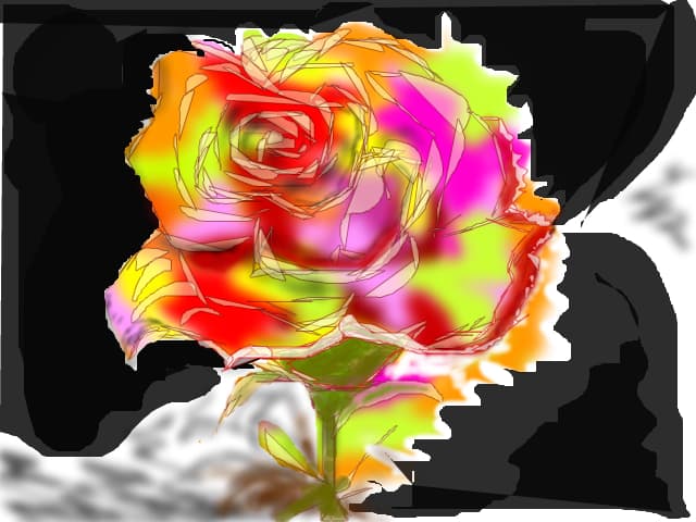rose