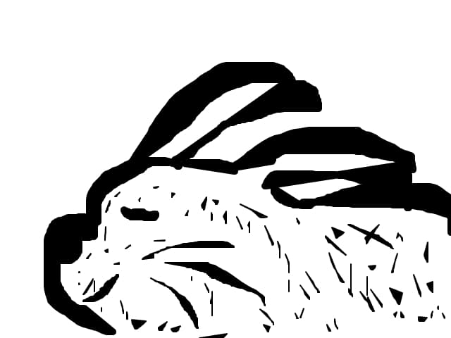 iepuras