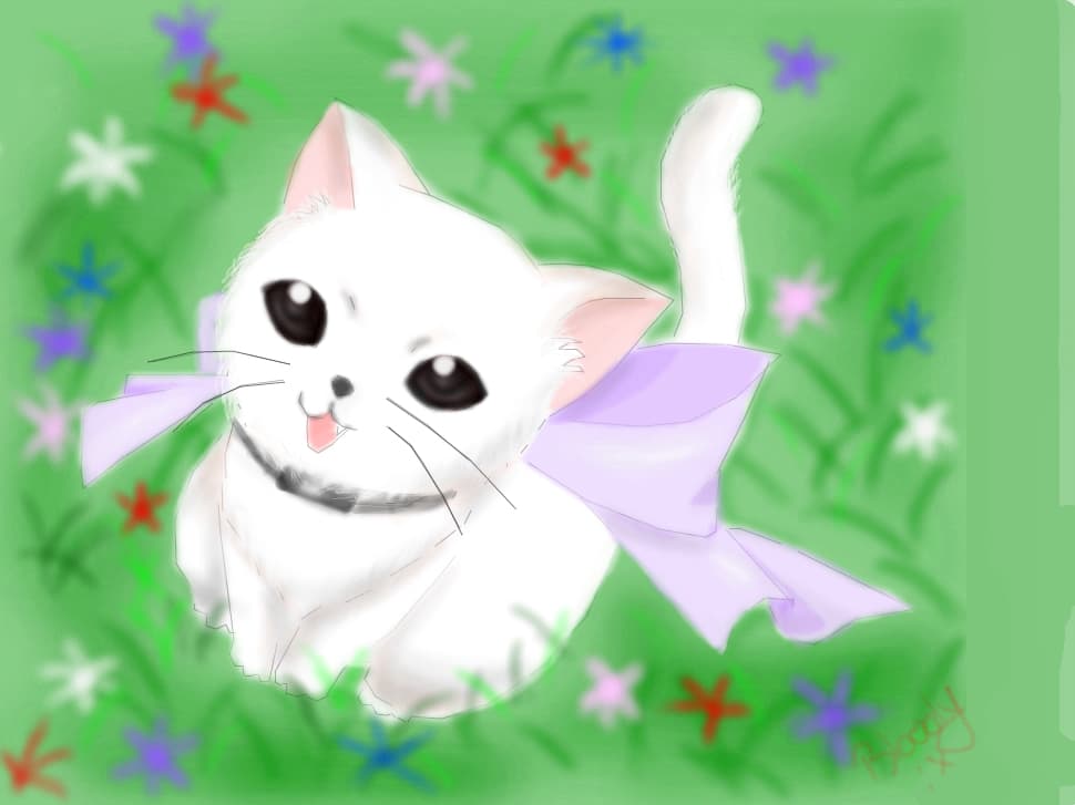 animalul meu fav