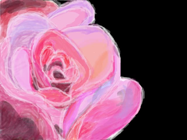 pink rose
