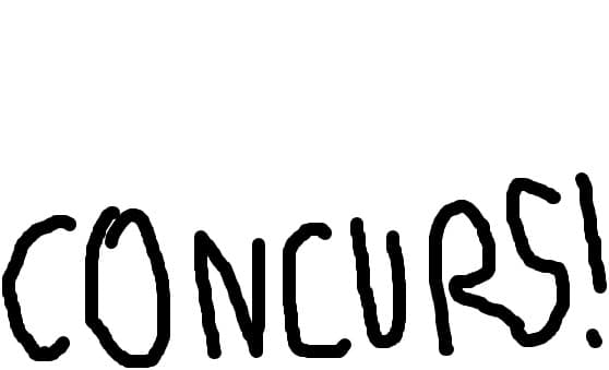 Concurs