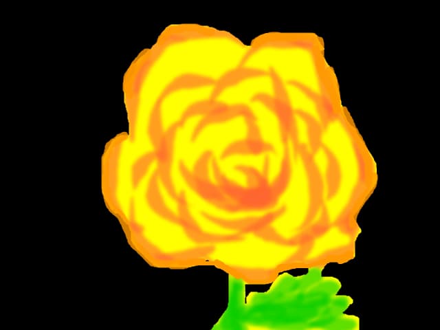 yellow rose