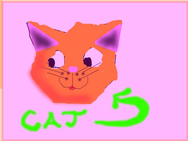cat