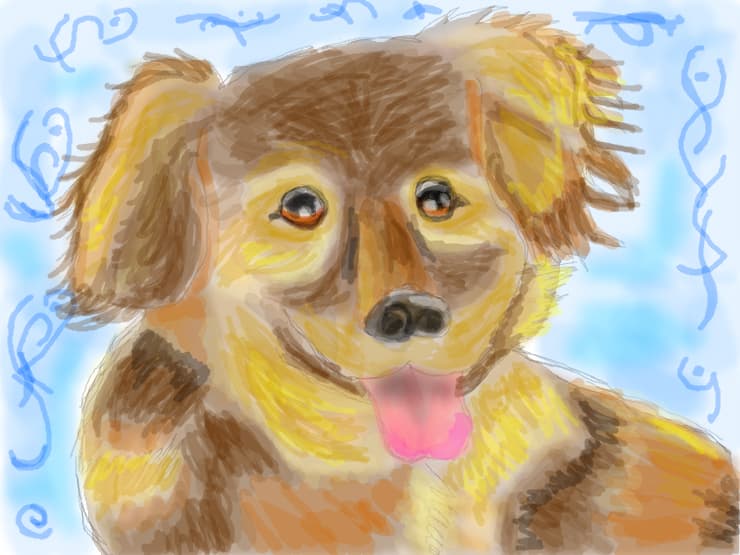 happy puppy
