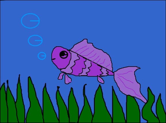 purple fish