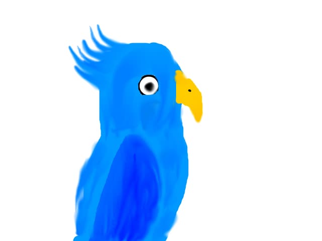 blue parrot