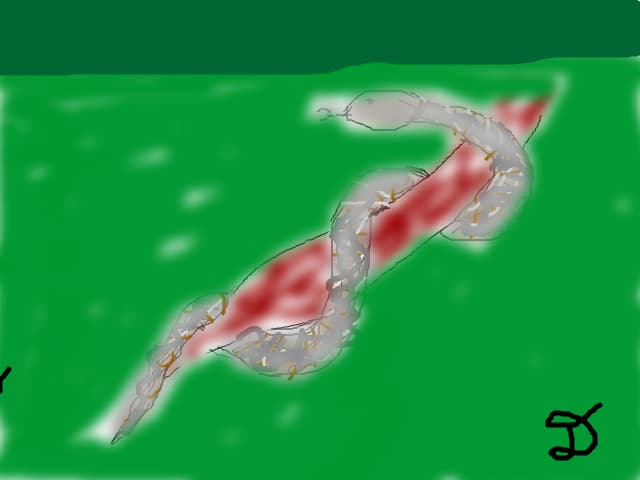 bcddiana