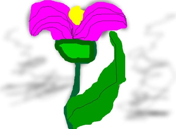O floare