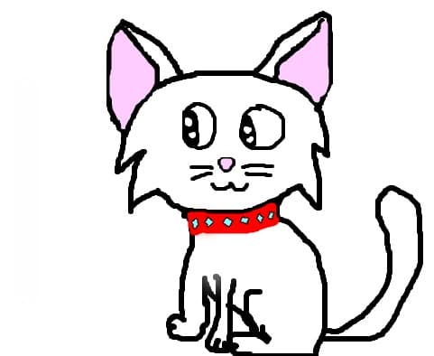 cat