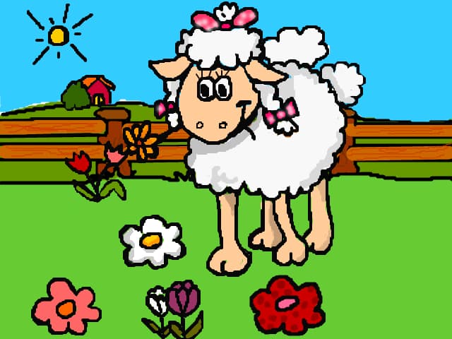 Sheep