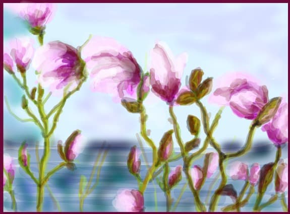 Magnolii
