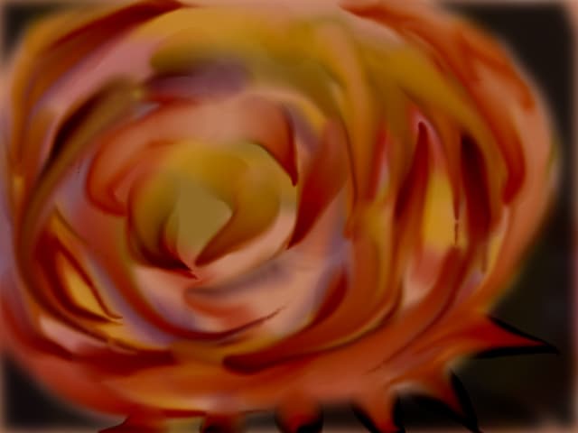 pizza rose
